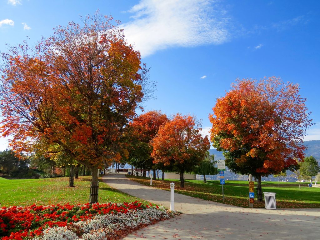 commmercial-landscaping-contractor-ann-arbor-mi